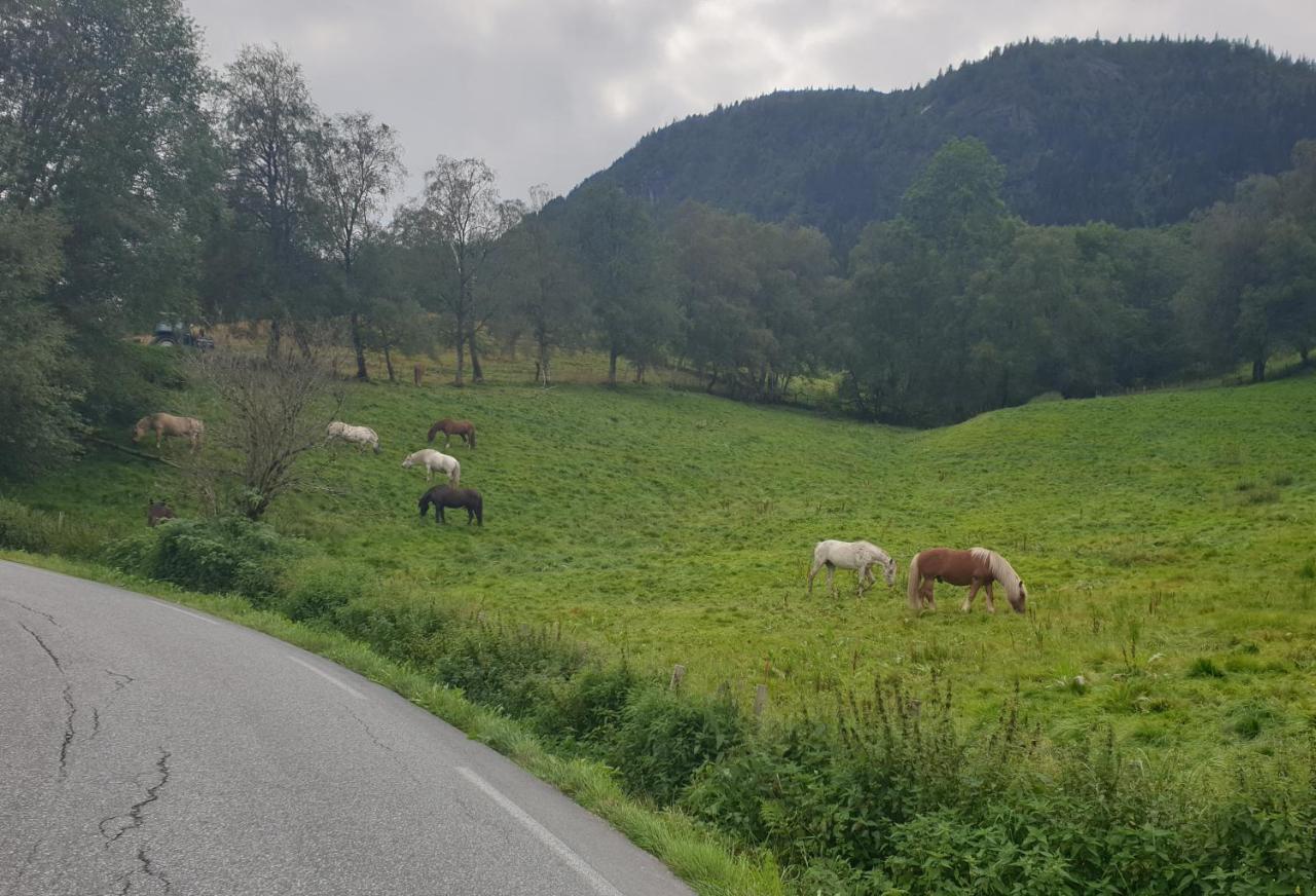 New And Exclusive Cottage In Voss With A Great View Skulestadmo Dış mekan fotoğraf